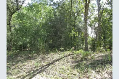 8339 N Creek Way, Citrus Springs, FL 34434 - Photo 1
