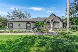 8804 Crosswood Ct, Riverview, FL 33578 - Photo 1