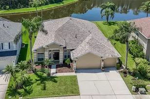 1135 Big Creek Dr, Wesley Chapel, FL 33544 - Photo 1