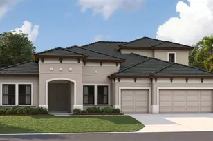 13465 Buffalo Mountain Ave, Riverview, FL 33579 - Photo 1