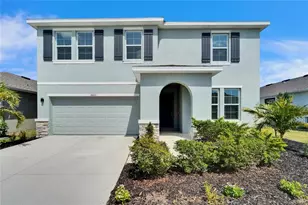 16631 Mooner Plank Cir Circle, Wimauma, FL 33598 - Photo 1