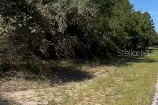 3222 W Brazilnut Rd, Beverly Hills, FL 34465 - Photo 1