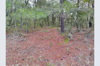 302 Kennedy Avenue, Interlachen, FL 32148 - Photo 1