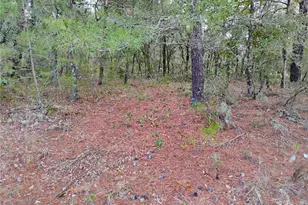 302 Kennedy Ave, Interlachen, FL 32148 - Photo 1