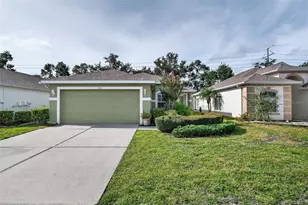 2911 Banyan Hill Ln, Land O Lakes, FL 34639 - Photo 1