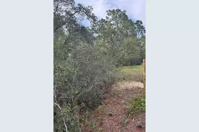 Scooby Road, Brooksville, FL 34604 - Photo 1