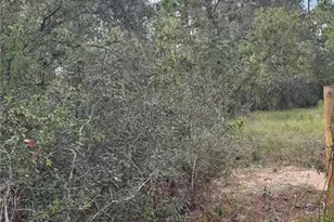 Scooby Rd, Brooksville, FL 34604 - Photo 1