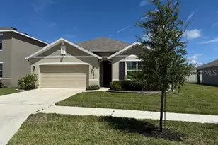 33573 Hamilton Hl Ln, Wesley Chapel, FL 33545 - Photo 1