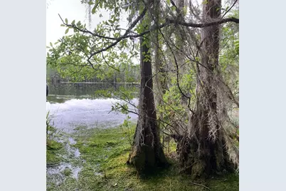 Sw Tower Road, Lee, FL 32059 - Photo 1