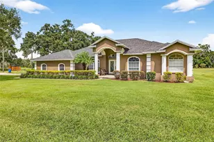 8518 W Knights Griffin Rd, Plant City, FL 33565 - Photo 1