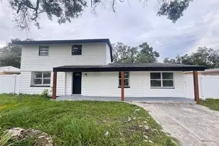 10118 Alambra Ave, Tampa, FL 33619 - Photo 1