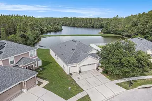 3355 Chessington Dr, Land O Lakes, FL 34638 - Photo 1