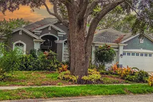 1725 River Watch Blvd, Tarpon Springs, FL 34689 - Photo 1