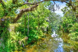 1115 Myrtle Rd, Valrico, FL 33596 - Photo 1