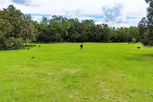 Pinkston Rd, Dade City, FL 33523 - Photo 1