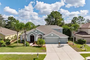 7340 Night Heron Dr, Land O Lakes, FL 34637 - Photo 1