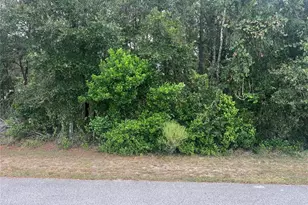 8014 Simmons St, Brooksville, FL 34613 - Photo 1