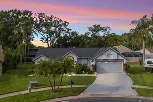 15101 Bald Eagle St, Tampa, FL 33625 - Photo 1