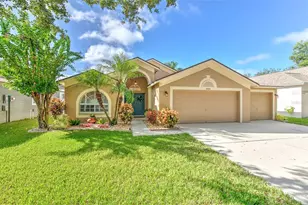 2505 Allwood Ave, Valrico, FL 33596 - Photo 1