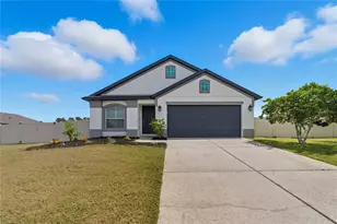 12410 Loopback Dr, San Antonio, FL 33576 - Photo 1