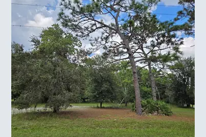 17901 Driftwood Lane, Lutz, FL 33558 - Photo 1