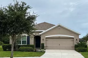 16429 Little Garden Dr, Wimauma, FL 33598 - Photo 1