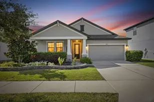 11239 Paddock Manor Ave, Riverview, FL 33569 - Photo 1