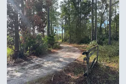Wild Acres Trail, Paisley, FL 32767 - Photo 1