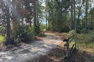 Wild Acres Trail, Paisley, FL 32767 - Photo 1