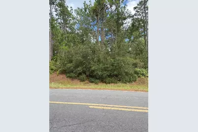 0 SW 155 Street SW, Dunnellon, FL 34432 - Photo 1