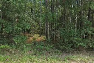 14126 Ricebird Ave, Brooksville, FL 34614 - Photo 1