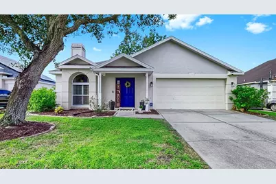 28422 Tall Grass Drive, Wesley Chapel, FL 33543 - Photo 1