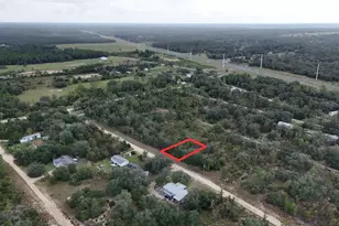 NE 62nd St, Williston, FL 32696 - Photo 1