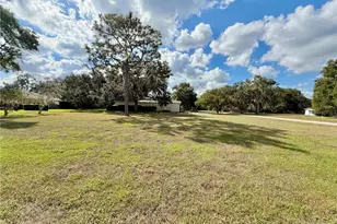 19017 Red Bird Ln, Lithia, FL 33547 - Photo 1