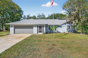 10051 Sleepy Willow Ct, Spring Hill, FL 34608 - Photo 1