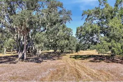 470 Moccasin Hollow Road, Lithia, FL 33547 - Photo 1