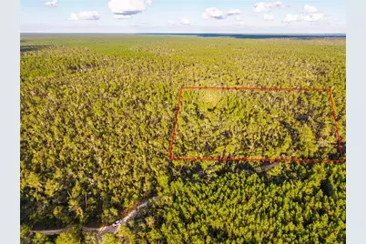 Nicatoon Retreat, Umatilla, FL 32784 - Photo 1