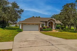 63 Forest Wood Ct, Spring Hill, FL 34609 - Photo 1
