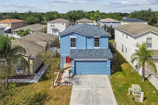 17347 Mint Leaf Ln, Land O Lakes, FL 34638 - Photo 1