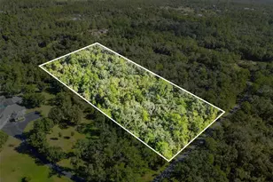 Skyview Circle, Brooksville, FL 34602 - Photo 1