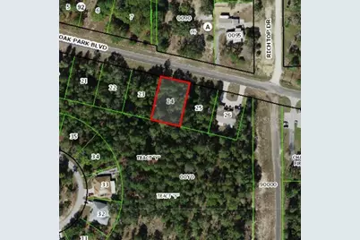 5100 W Oak Park Boulevard, Homosassa, FL 34446 - Photo 1