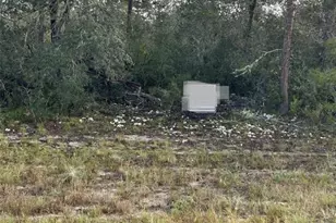 17213 SW 28th Ave, Ocala, FL 34473 - Photo 1