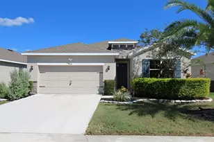 4024 Mossy Limb Ct, Palmetto, FL 34221 - Photo 1