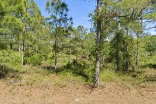 1402 Edison Ave, Lehigh Acres, FL 33972 - Photo 1