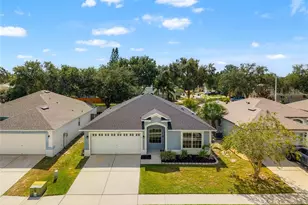 11033 Whittney Chase Dr, Riverview, FL 33579 - Photo 1