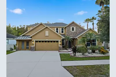 19238 Climbing Aster Drive, Tampa, FL 33647 - Photo 1