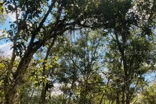 Coyote Rd, Hudson, FL 34667 - Photo 1