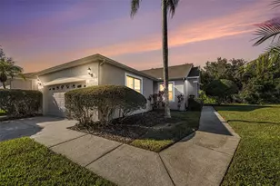 20521 Homossasa Ct, Land O Lakes, FL 34637 - Photo 1