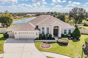 20331 Natures Corner Dr, Tampa, FL 33647 - Photo 1