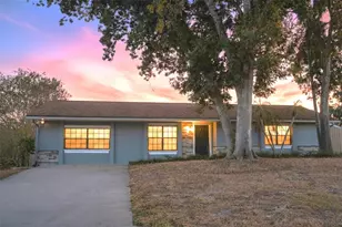 11213 Creek View Dr, Riverview, FL 33569 - Photo 1